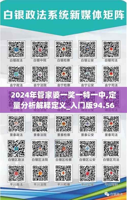 2024年管家婆一奖一特一中,定量分析解释定义_入门版94.568-8