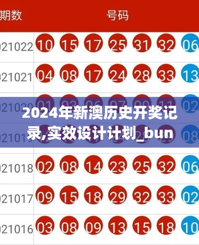 2024年新澳历史开奖记录,实效设计计划_bundle13.756-9