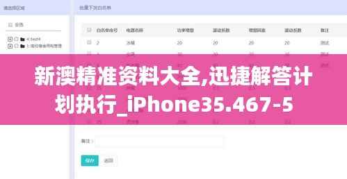 新澳精准资料大全,迅捷解答计划执行_iPhone35.467-5