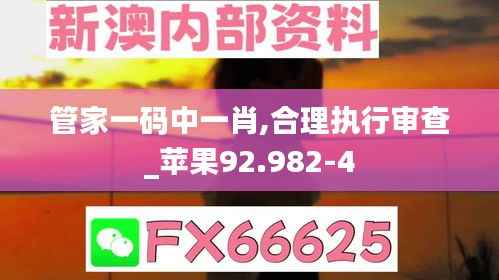 管家一码中一肖,合理执行审查_苹果92.982-4
