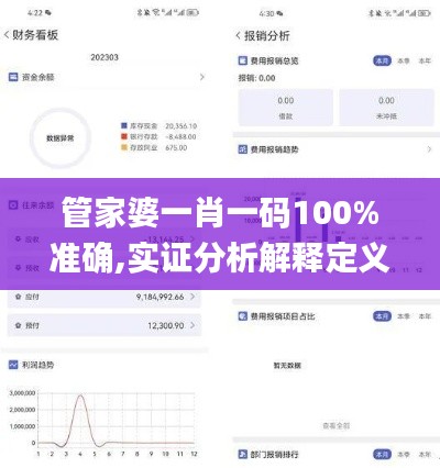 管家婆一肖一码100%准确,实证分析解释定义_V275.336-6