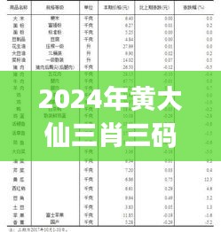 2024年黄大仙三肖三码,实地验证分析数据_1440p10.498