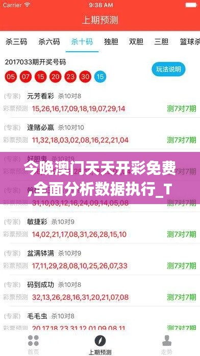 今晚澳门天天开彩免费,全面分析数据执行_The79.792-2