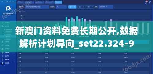 新澳门资料免费长期公开,数据解析计划导向_set22.324-9