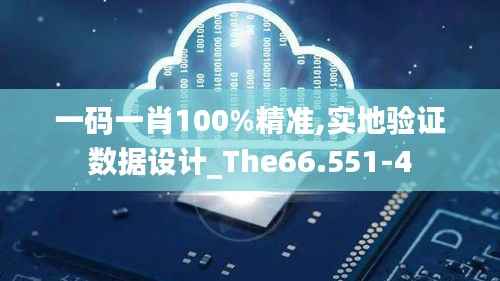一码一肖100%精准,实地验证数据设计_The66.551-4