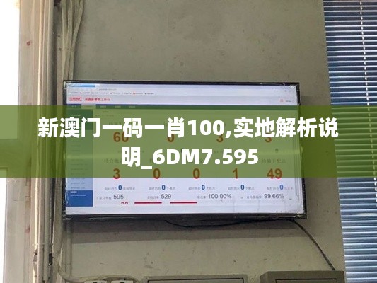 新澳门一码一肖100,实地解析说明_6DM7.595