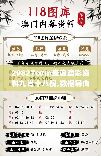 29827cσm查询澳彩资料九肖十八码,数据导向解析计划_复古款6.604
