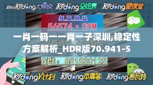 一肖一码一一肖一子深圳,稳定性方案解析_HDR版70.941-5