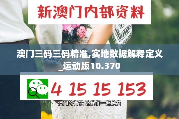 澳门三码三码精准,实地数据解释定义_运动版10.370