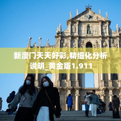 新澳门天天好彩,精细化分析说明_黄金版1.911