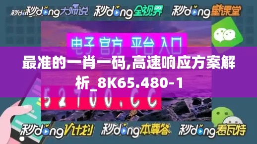 最准的一肖一码,高速响应方案解析_8K65.480-1