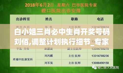 白小姐三肖必中生肖开奖号码刘佰,调整计划执行细节_专家版84.714-4