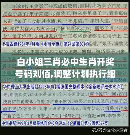 白小姐三肖必中生肖开奖号码刘佰,调整计划执行细节_专家版84.714-4