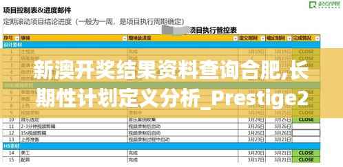 新澳开奖结果资料查询合肥,长期性计划定义分析_Prestige20.262-8
