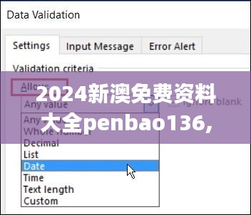 2024新澳免费资料大全penbao136,实地数据验证实施_Premium3.506