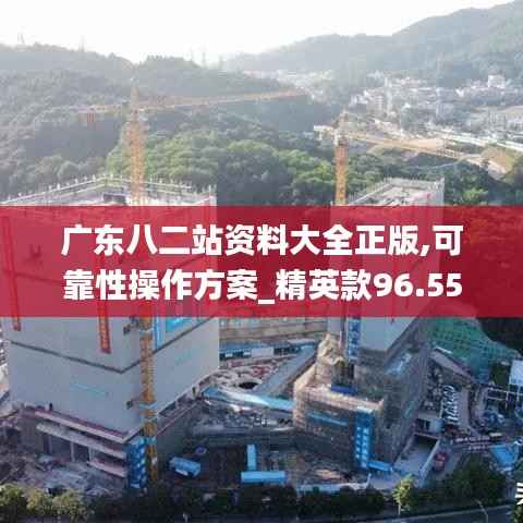 广东八二站资料大全正版,可靠性操作方案_精英款96.550-3