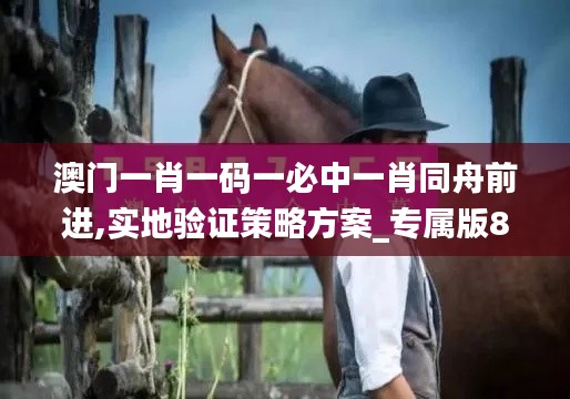 澳门一肖一码一必中一肖同舟前进,实地验证策略方案_专属版83.591-8