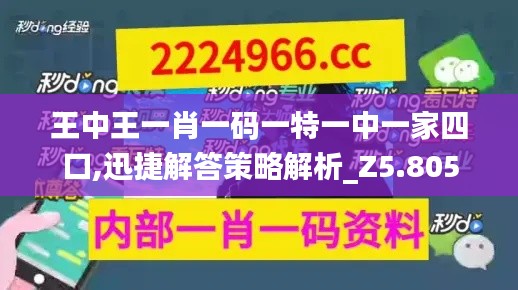 王中王一肖一码一特一中一家四口,迅捷解答策略解析_Z5.805