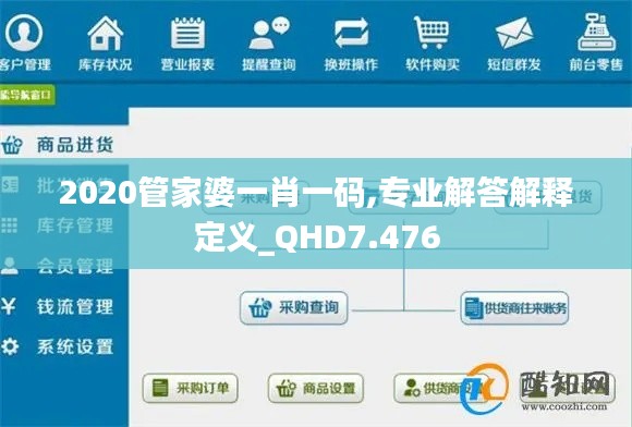2020管家婆一肖一码,专业解答解释定义_QHD7.476