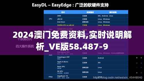 2024澳门免费资料,实时说明解析_VE版58.487-9