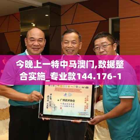 今晚上一特中马澳门,数据整合实施_专业款144.176-1