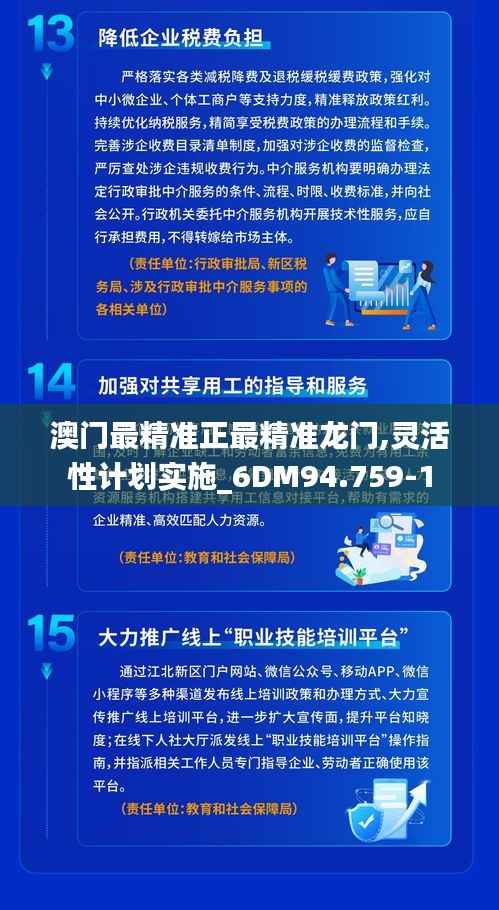 澳门最精准正最精准龙门,灵活性计划实施_6DM94.759-1