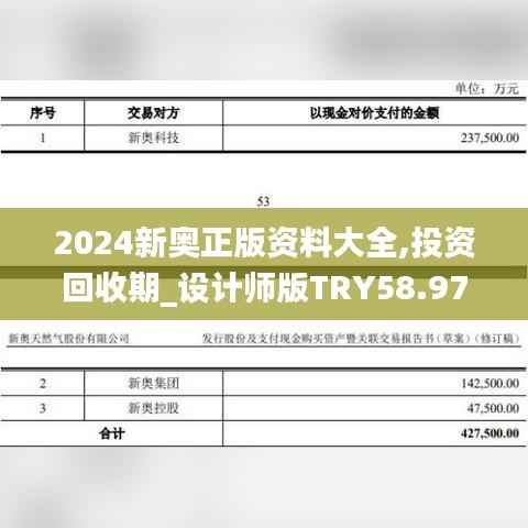 2024新奥正版资料大全,投资回收期_设计师版TRY58.974