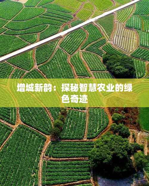 增城新韵:探秘智慧农业的绿色奇迹