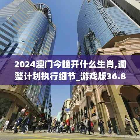 2024澳门今晚开什么生肖,调整计划执行细节_游戏版36.807-8
