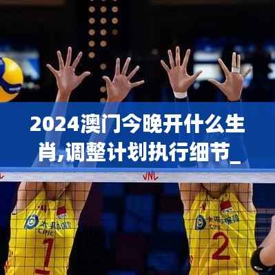 2024澳门今晚开什么生肖,调整计划执行细节_游戏版36.807-8