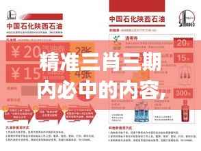 精准三肖三期内必中的内容,灵活设计解析方案_8DM36.248-1