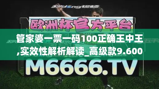 管家婆一票一码100正确王中王,实效性解析解读_高级款9.600-6