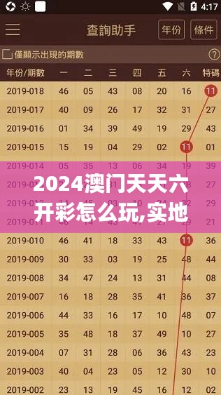2024澳门天天六开彩怎么玩,实地数据验证计划_精简版93.847-2