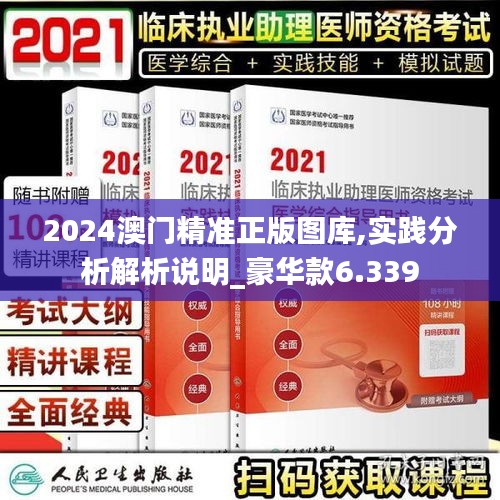 2024澳门精准正版图库,实践分析解析说明_豪华款6.339