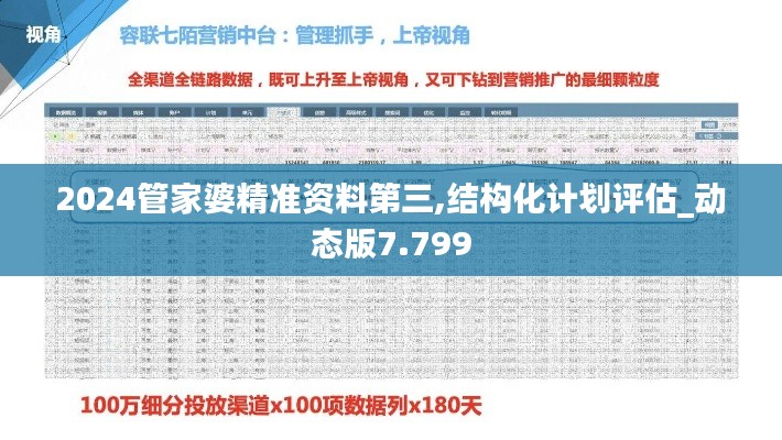 2024管家婆精准资料第三,结构化计划评估_动态版7.799