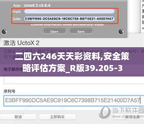 二四六246天天彩资料,安全策略评估方案_R版39.205-3