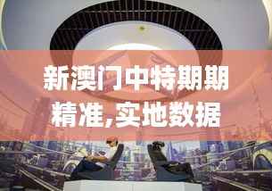 新澳门中特期期精准,实地数据执行分析_Q14.442-8