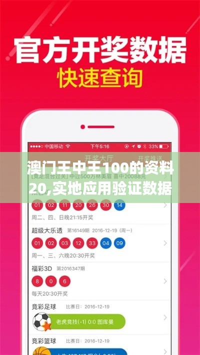 澳门王中王100的资料20,实地应用验证数据_V23.869-6