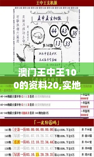 澳门王中王100的资料20,实地应用验证数据_V23.869-6