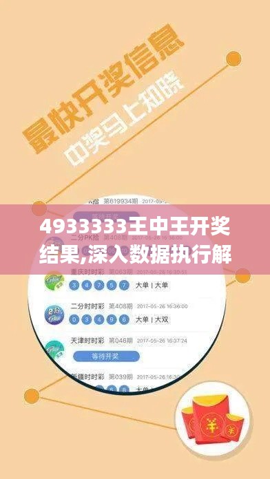 4933333王中王开奖结果,深入数据执行解析_静态版110.378