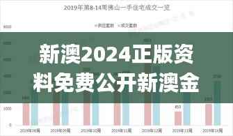 新澳2024正版资料免费公开新澳金牌解密,高效性实施计划解析_XT41.711-2