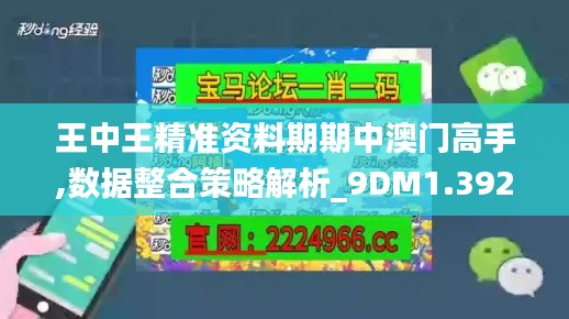 王中王精准资料期期中澳门高手,数据整合策略解析_9DM1.392