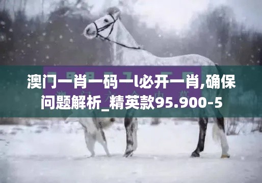 澳门一肖一码一l必开一肖,确保问题解析_精英款95.900-5