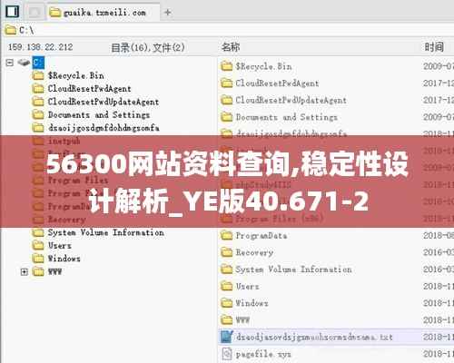 56300网站资料查询,稳定性设计解析_YE版40.671-2