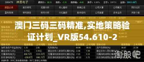 澳门三码三码精准,实地策略验证计划_VR版54.610-2