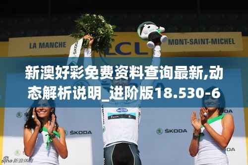 新澳好彩免费资料查询最新,动态解析说明_进阶版18.530-6
