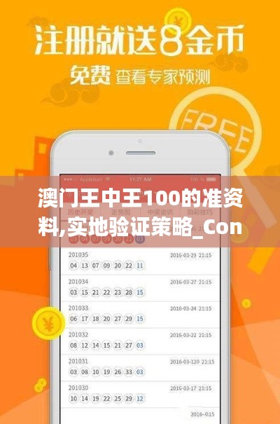澳门王中王100的准资料,实地验证策略_Console72.892-5