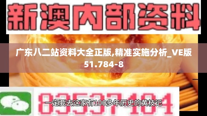 广东八二站资料大全正版,精准实施分析_VE版51.784-8