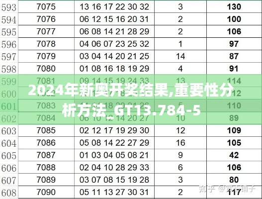2024年新奥开奖结果,重要性分析方法_GT13.784-5