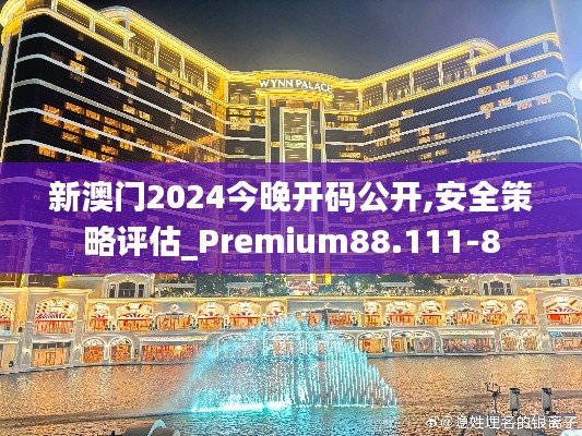 新澳门2024今晚开码公开,安全策略评估_Premium88.111-8